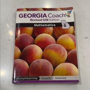Georgia GPS Edition Coach;
Mathematics Grade 6 (2006)